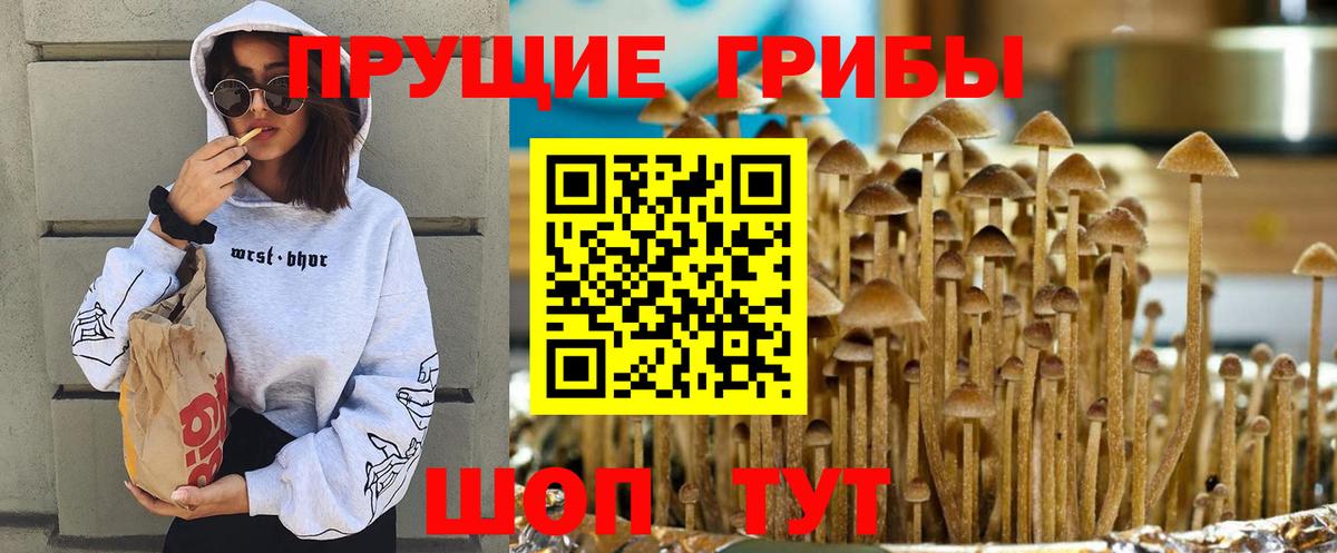 Псилоцибиновые грибы MAGIC MUSHROOMS Домодедово