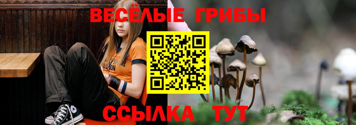 наркошоп  Псилоцибиновые грибы Psilocybine cubensis  Домодедово  Вход с VPN  Галлюциногенные грибы ЛСД 